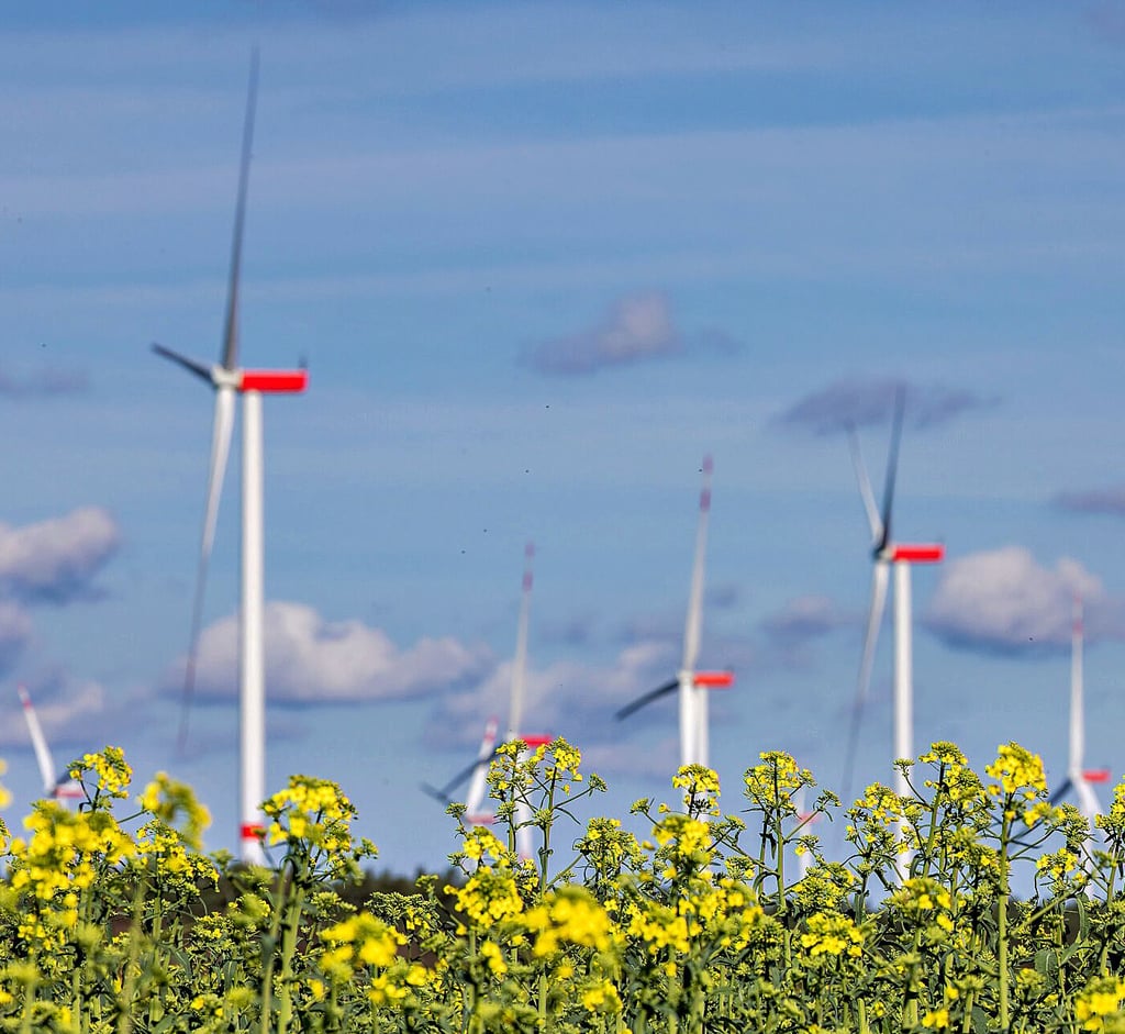 Windräder sollen sich nach Plänen der Stadtwerke in einigen Jahren im Norden Havelbergs drehen und Strom produzieren.