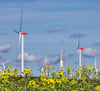 Windräder sollen sich nach Plänen der Stadtwerke in einigen Jahren im Norden Havelbergs drehen und Strom produzieren.
