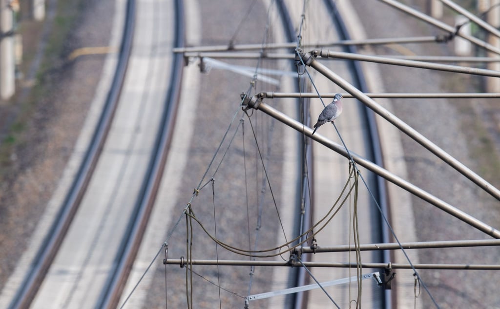 Bei der Elektrifizierung von Bahnstrecken gibt es Defizite.