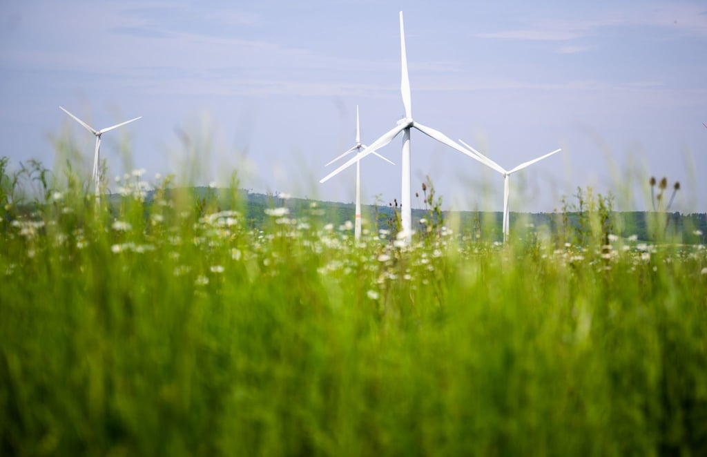 Windräder drehen sich auf einem Feld.