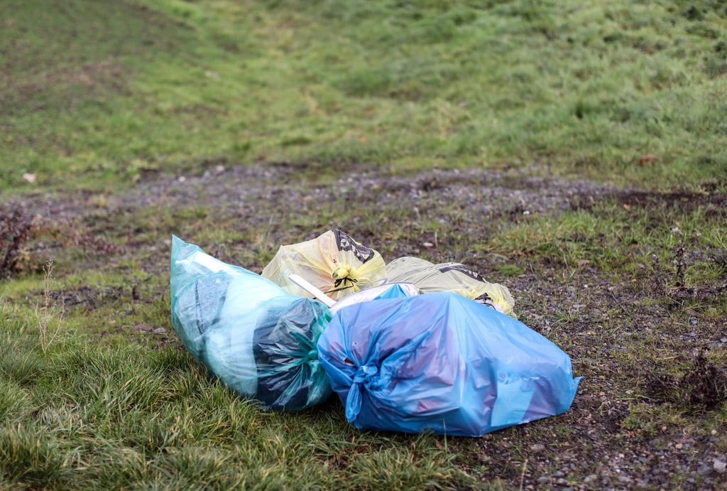 Mehrere Mülltüten liegen abseits einer Straße auf einer Wiese.