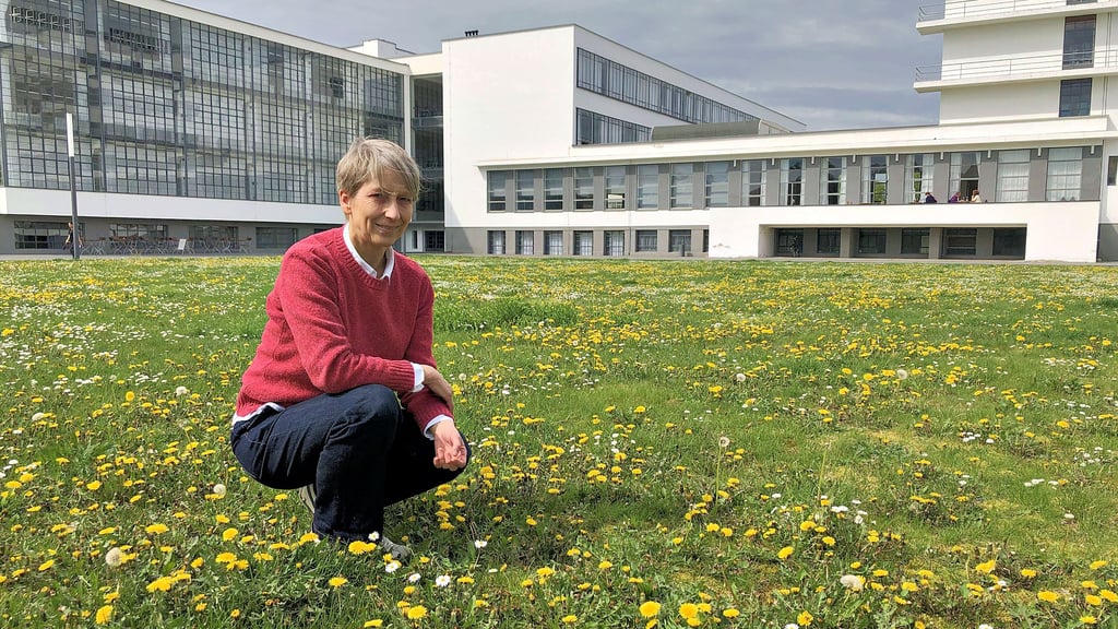 Dorothea Roos, Leiterin Bauabteilung, Bauforschung und Denkmalpflege, im Blütenmeer auf der Wiese hinterm Bauhaus.