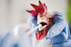 In Folge der Vogelgrippe  steigen die Beiträge für die Tierseuchenkasse.
