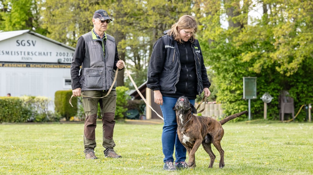 Frank Nauman (l.) trainiert in Gerbisbach mit Christiane Kunze und ihrem Deutschen Boxer Nestor (6 Jahre).