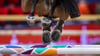 Beim Weltcup-Finale in Riad starb nach dem zweiten Springen ein Pferd.