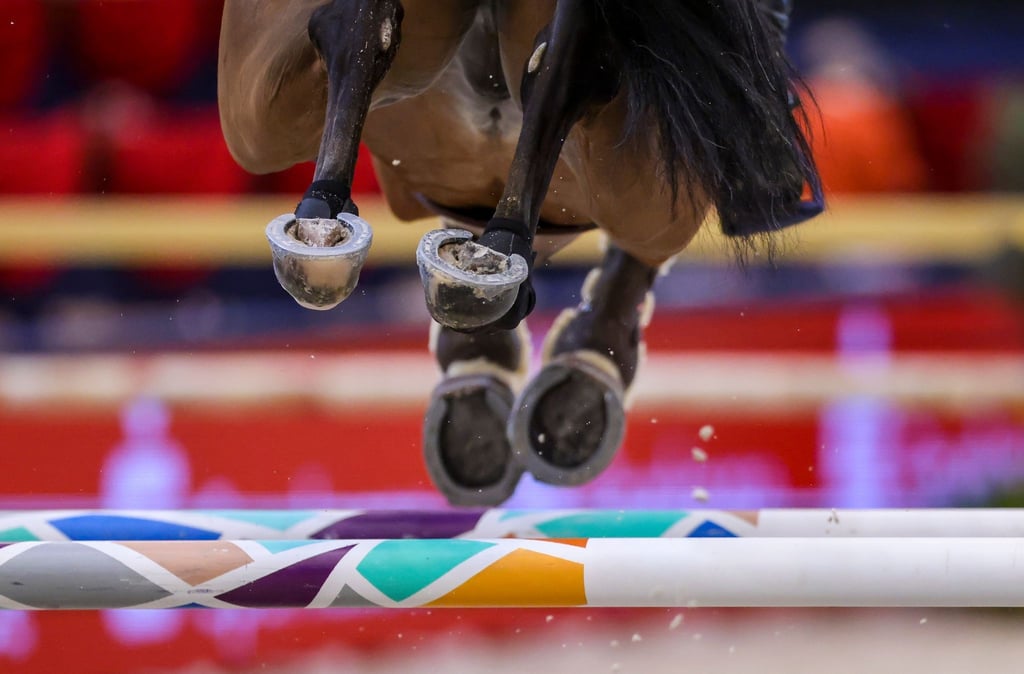 Beim Weltcup-Finale in Riad starb nach dem zweiten Springen ein Pferd.