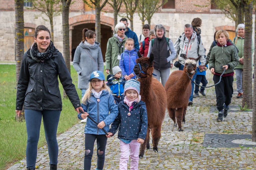 Der vergangene, der 9., Welterbewandertag startete in Schulpforte, auf der Familientour sogar mit Alpakas. In diesem Jahr sind Ziegen die Begleiter.