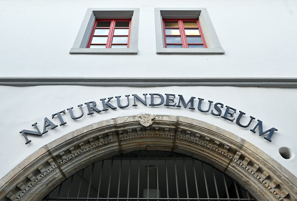 „Naturkundemuseum“ steht über dem Eingang zum Museum.
