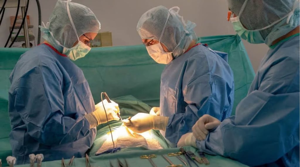 Wie hier in der Carl-von-Basedow-Klinikum in Merseburg wurde über einen kleinen Schnitt die Hernie zugenäht.