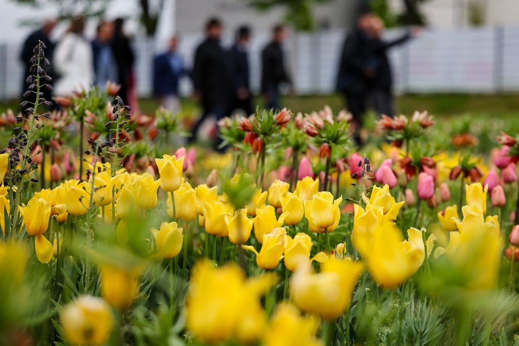 Die ersten Gäste gehen nach der Eröffnung über die Landesgartenschau Bad Dürrenberg 2024.