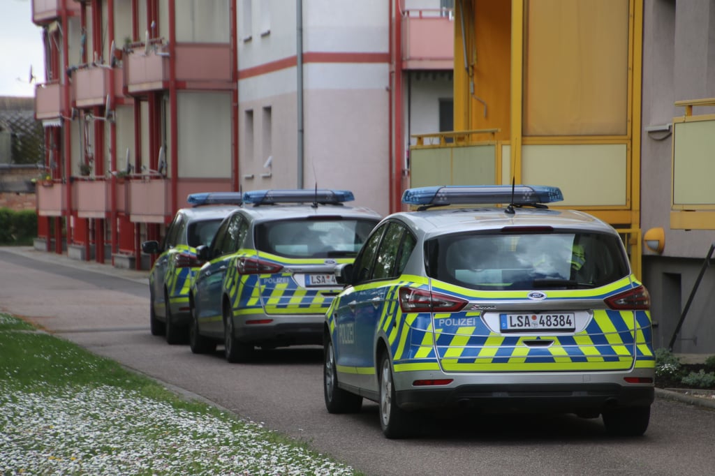 Polizeieinsatz in Schafstädt: Die Beamten rückten mit mehreren Fahrzeugen an.
