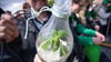 Eine Cannabispflanze zeigt ein Mann am Brandenburger Tor.
