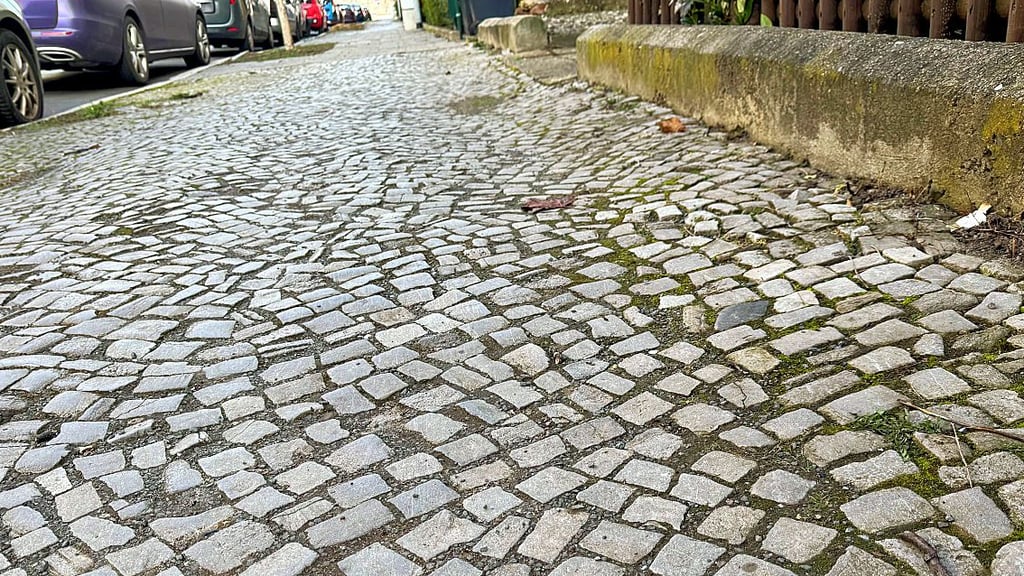 Viele Fußwege in Halberstadt wie dieser in der Bachstraße sind reparatur-und sanierungsbedürftig.
