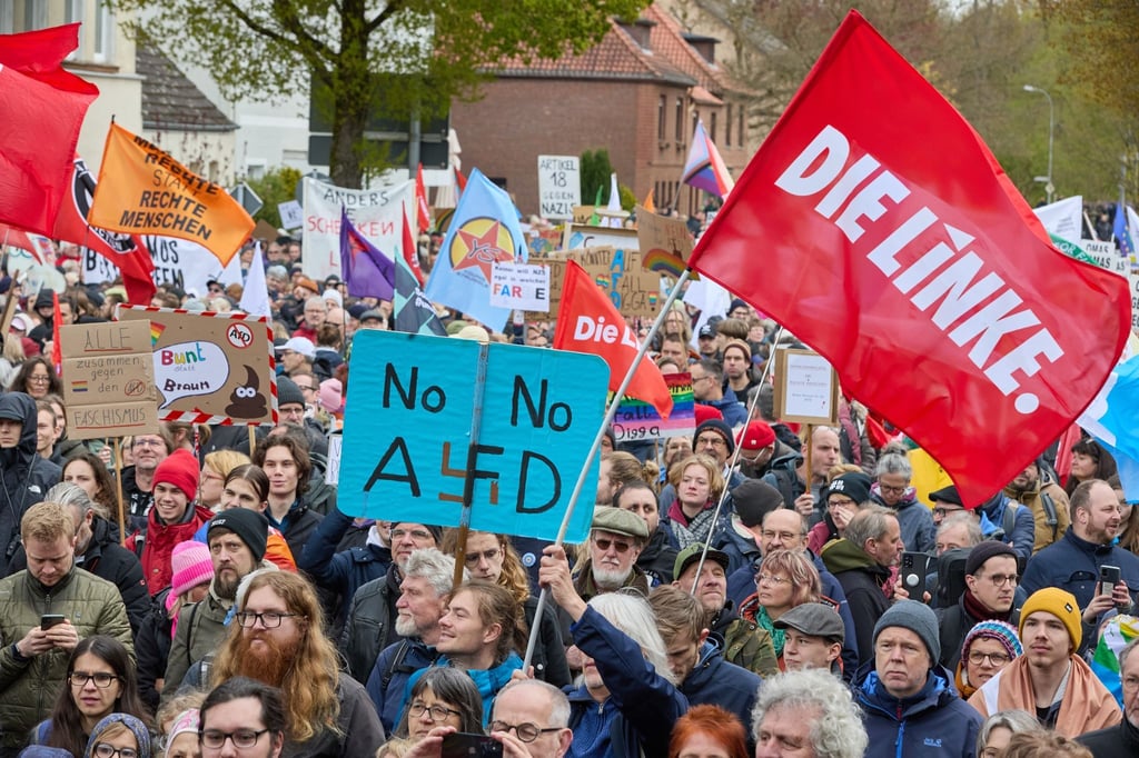 Ein Teilnehmer der Demonstration gegen den AfD-Parteitag, der Kundgebung für Vielfalt und Menschenwürde, hält ein Schild mit der Aufschrift „No No AfD“, daneben eine Fahne von der Partei Die Linke.