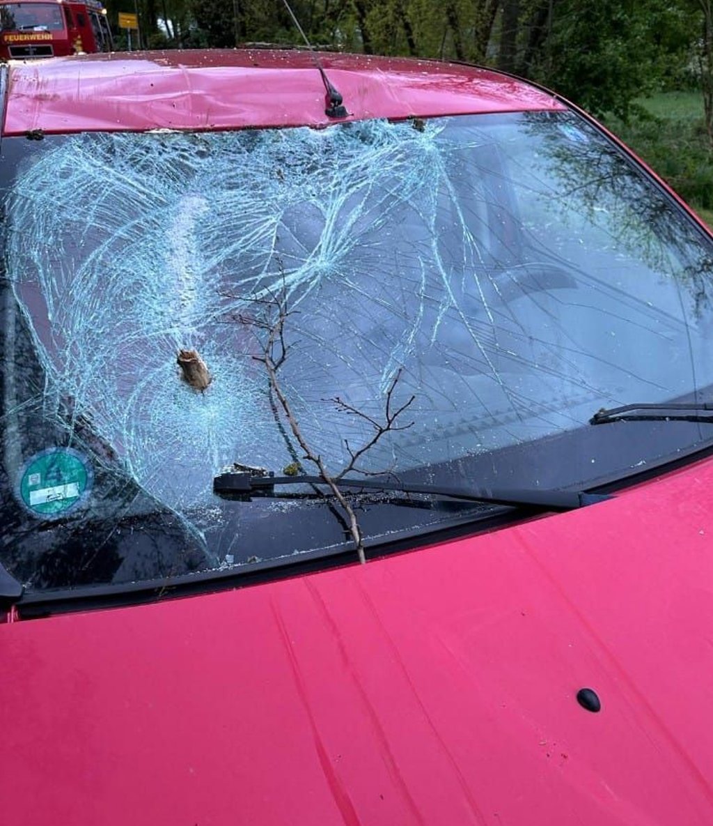 Die Fahrerin des Wagens wurde bei dem Unfall verletzt.