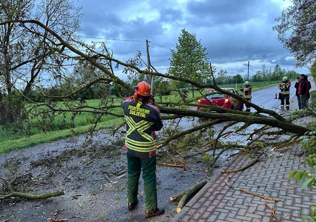 Ein Baum ist auf der Langenweddinger Chaussee in Osterweddingen auf ein fahrendes Auto gekracht.