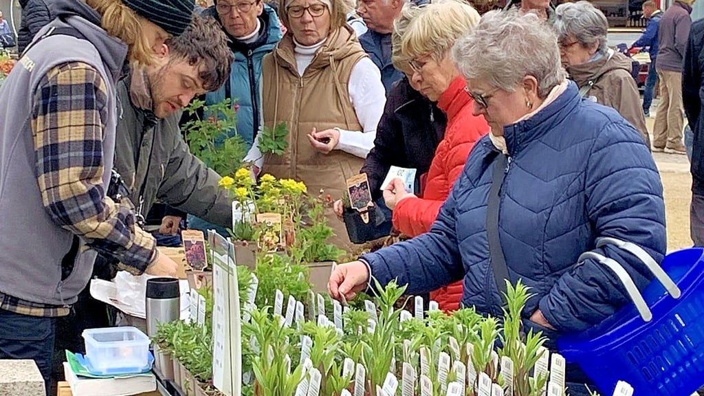 Pünktlich zum Start der Saison bietet Garten & Ambiente in Stendal allen Pflanzenfreunden eine große Auswahl.