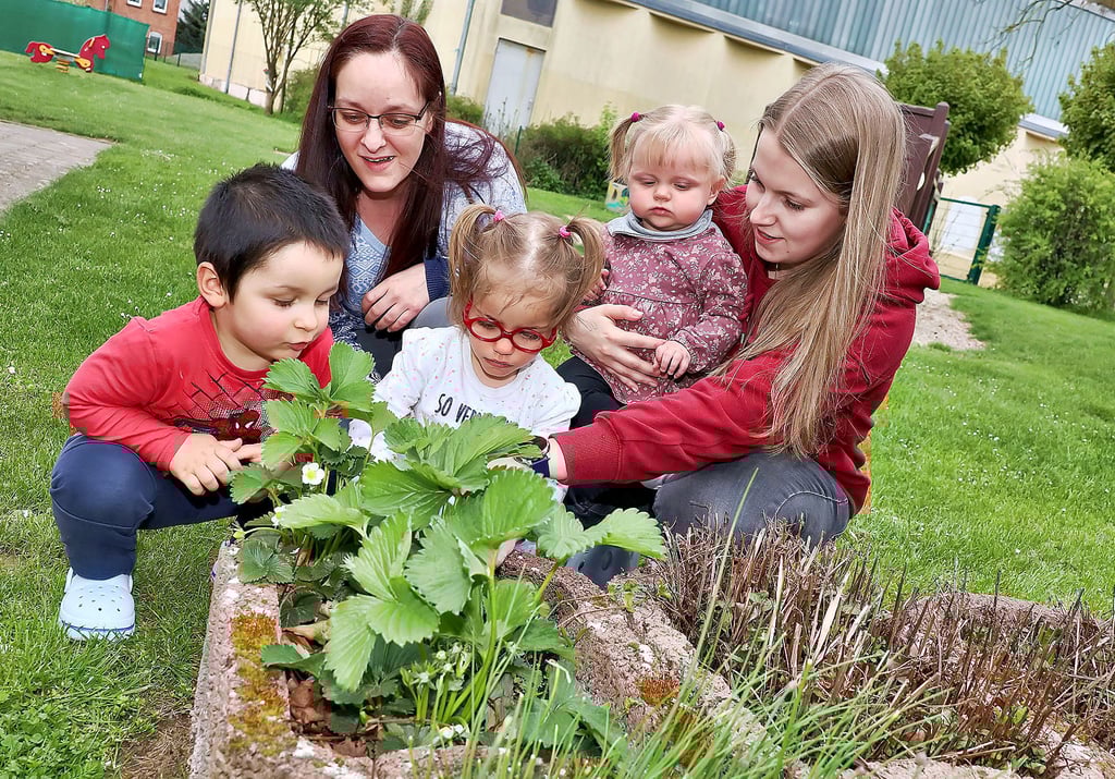 „An die Beete - fertig - los“ heißt es hier für Paulina (2) mit ihrer Mama Peggy Zeising, Maxim (3) und Aliyna (1) mit Erzieherin Lisa Brendel.
