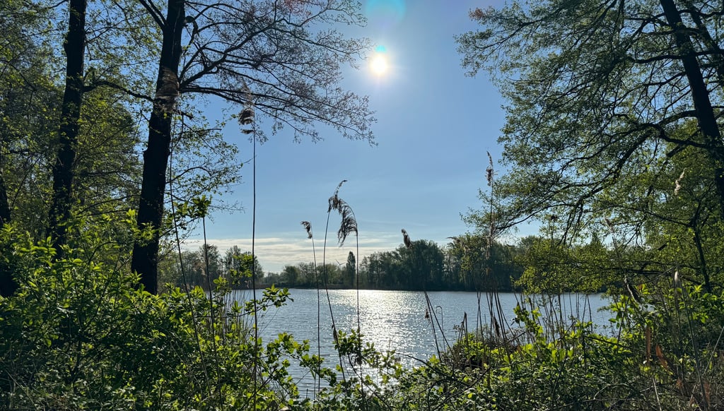 Sonnenaufgang über Gladows Loch in Parey.