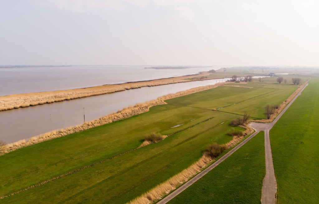 Blick auf das Deichvorland in dem Bereich, in dem ein Tunnel unter der Elbe durchlaufen soll.