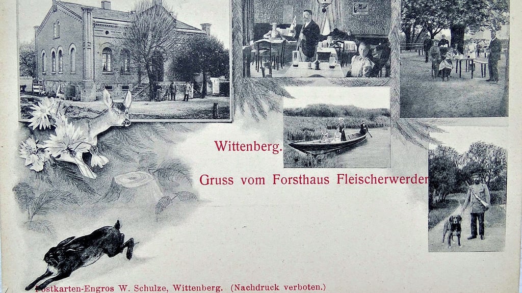 Eine Postkarte von vor etwa hundert Jahren. Sie zeigt das ehemalige Forsthaus Fleischerwerder, heute zu Dabrun gehörig, damals städtisches Forstrevier von Wittenberg und ein beliebtes Ausflugsziel. Eine dortige Reiherkolonie war als Naturdenkmal geschützt.