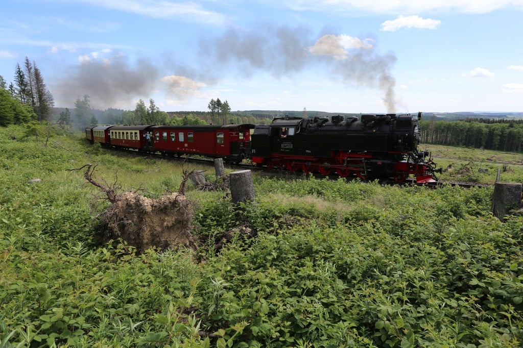 Ein Zug der Harzer Schmalspurbahn HSB, fährt in über Schierke zum Brocken.