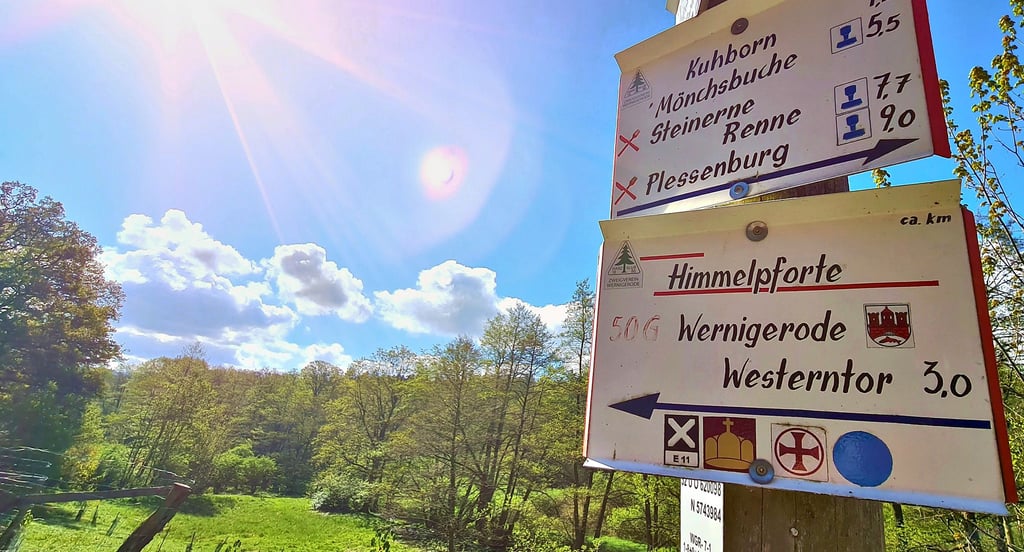 Auf einer Lichtung im Wernigeröder Wald stand vor 500 Jahren ein Kloster. Dessen Überreste geben Archäologen Rätsel auf.