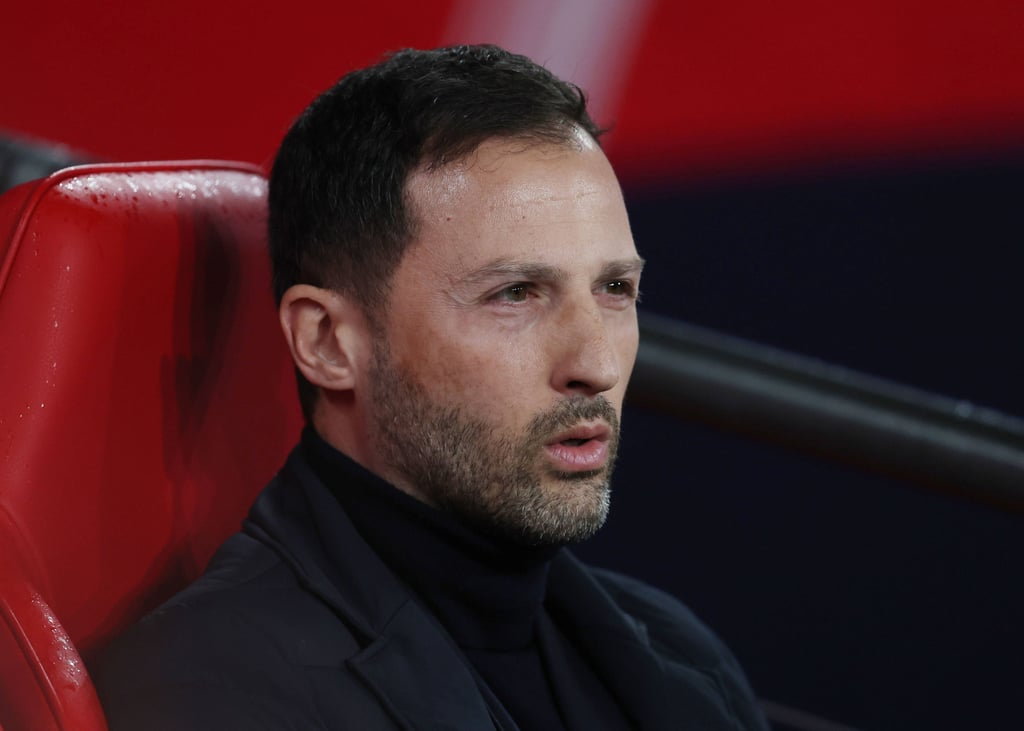 Domenico Tedesco ist aktuell belgischer Nationaltrainer.