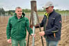 Ingo (links) und Frank Hanke  rammen  die  Weinpfähle in die  Erde.   Wenn alle stehen,  werden sie  mit  Draht verbunden.