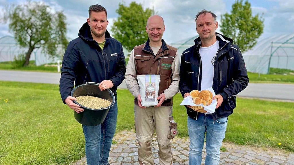 Wenn regionale Unternehmen zusammenhalten: Rackither Agrarchef Tino Gast (v. l.), Jürgen Boeltzig von der Neumühle Skassa und Bäckermeister Alexander Dorn zeigen symbolisch den Weg vom Korn zum Brötchen.