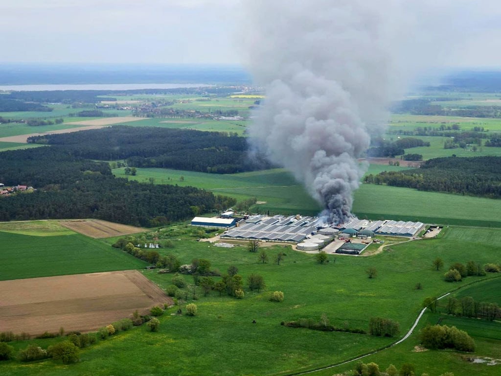 Dichter Rauch steigt in der Altmark beim Brand in der einer Schweinemastanlage auf.