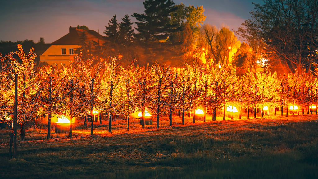 Hell lodern die Feuer auf der der Plantage von Landwirt André Stallbaum in Stendal.