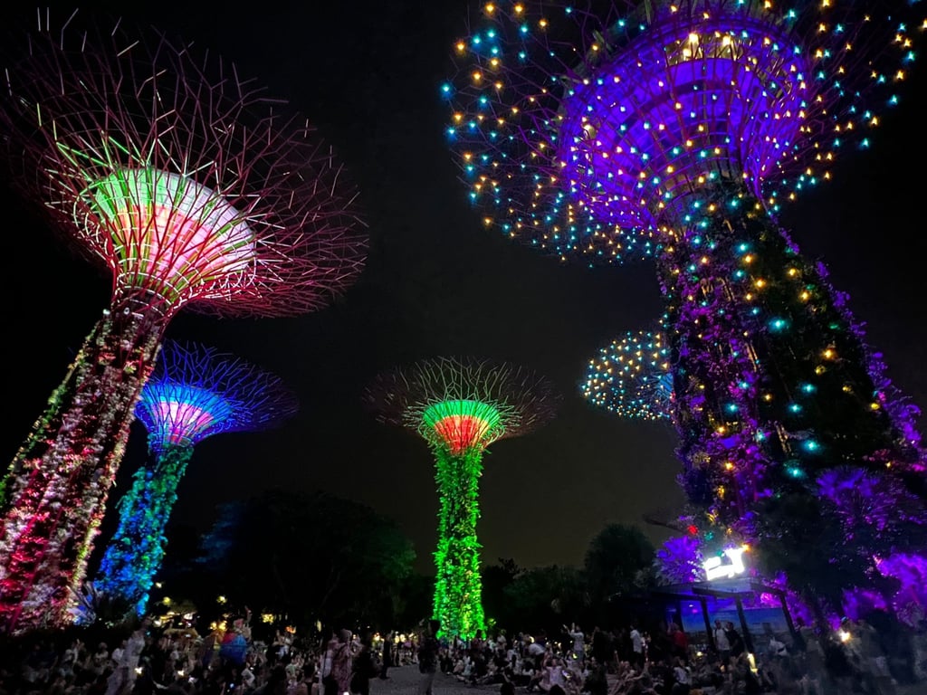 Die Supertrees in den Gardens by the Bay während der abendlichen Lichtshow.