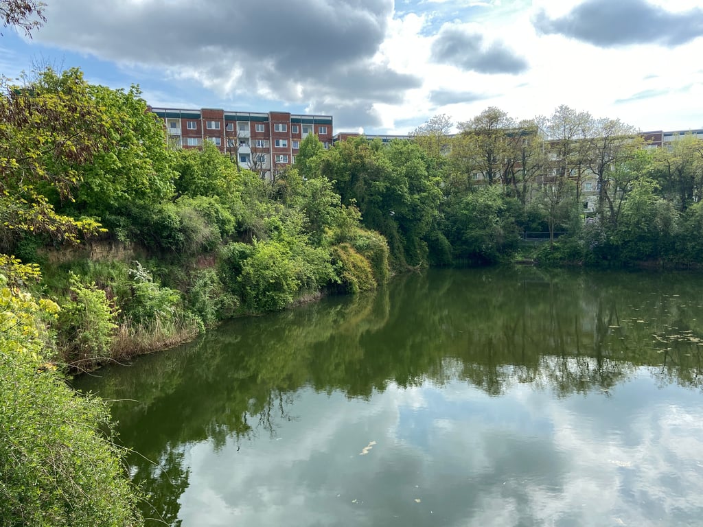 Westlich des Sternsees befinden sich Brachflächen, die bebaut werden sollen.