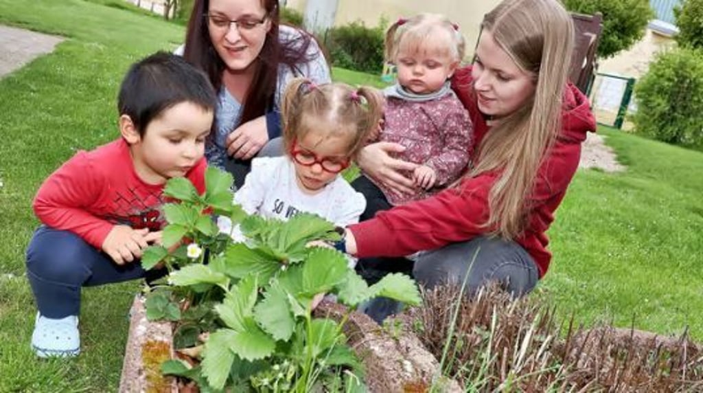 „An die Beete - fertig - los“ heißt es hier für Paulina (2) mit ihrer Mama Peggy Zeising, Maxim (3) und Aliyna (1) mit Erzieherin Lisa Brendel.