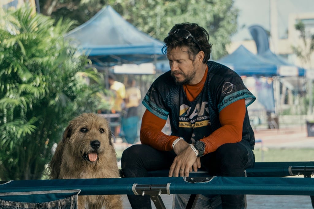 Michael (Mark Wahlberg) und Arthur - ein gutes Team.