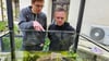 Geologieexperte Michael Buchwitz (l.) und Museumsleiter Marcus Pribbernow nehmen ein Terrarium im Natureum in Augenschein.