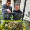 Geologieexperte Michael Buchwitz (l.) und Museumsleiter Marcus Pribbernow nehmen ein Terrarium im Natureum in Augenschein.