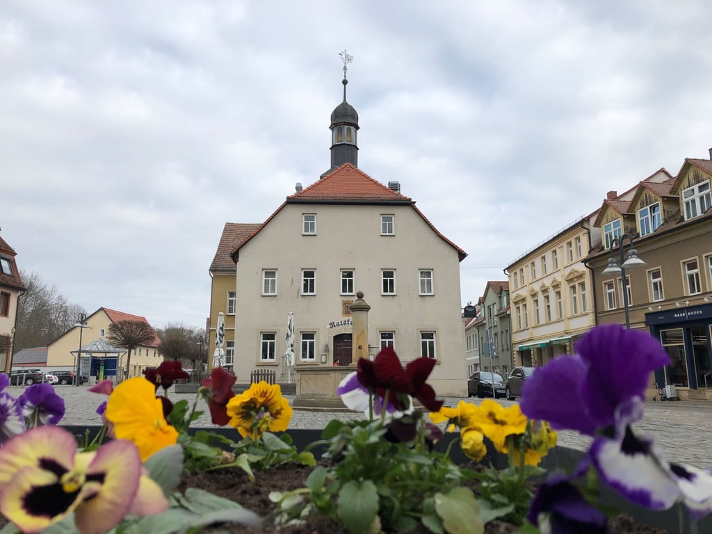Im Rathaus Teuchern protestierte am Dienstag eine Bürgerinitiative gegen das geplante interkommunale Gewerbegebiet in Nessa.
