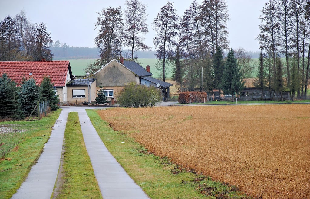 Nördlich des ländlichen Weges, der von der Tangelner Hauptstraße in Richtung Wald führt, soll auf einer Fläche von 3.500 Quadratmetern eine Wohn- und Ferienhausbebauung entstehen. Derzeit wird das Areal noch landwirtschaftlich genutzt.