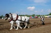 Pferdepflügen in Schartau: Die Schlepperfreunde laden am Sonnabend zum Schaupflügen ein.