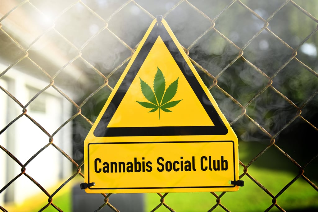 Überall gründen sich Cannabis Clubs, nur in Sachsen-Anhalt kaum.