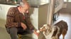 Kühle Erfrischung: Australian Shepherd Livio testet das Hundeeis von Massimo Caraccioli, das frisch aus der Eismaschine kommt.