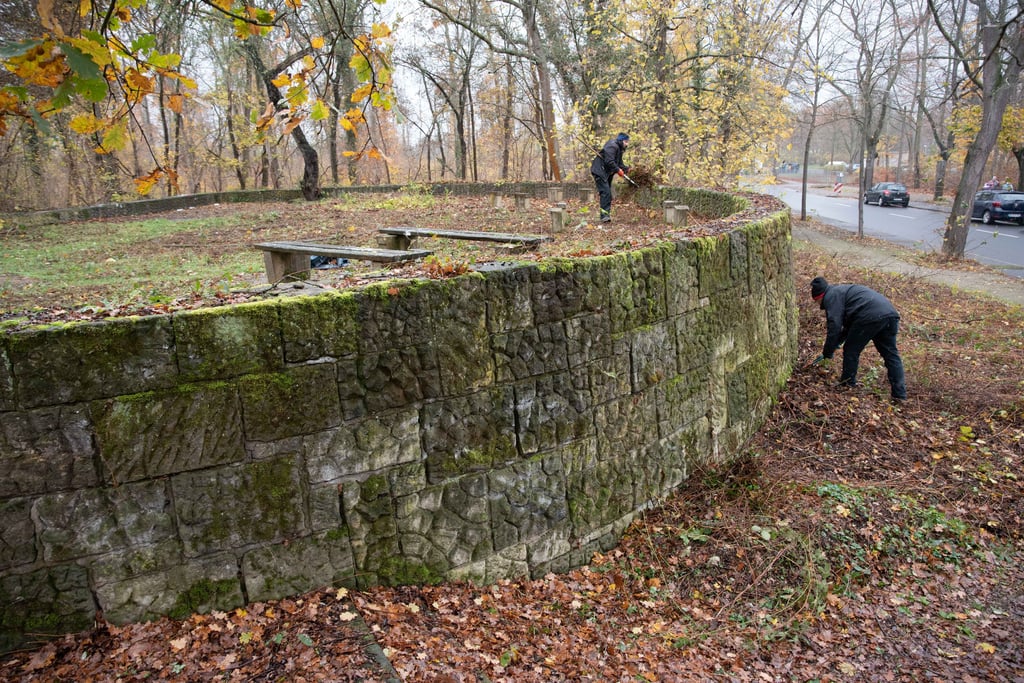 Ein Verdienst des Stadtbezirksbeirates ist es, dass das verwahrloste Rondell in der Elballee beräumt wurde