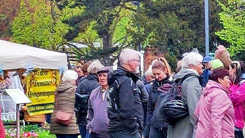Am Samstagvormittag ist wieder Pflanzenmarkt im Stadtpark.