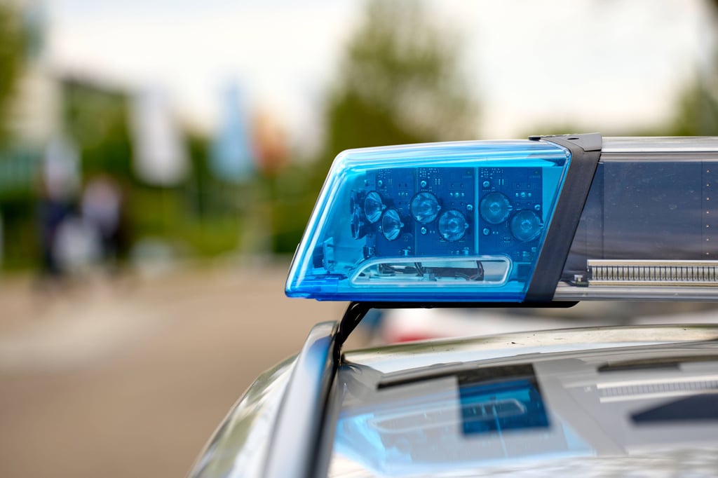 Die Polizei im Harz ist auf der Suche nach einem Mann mit Hund in Halberstadt.