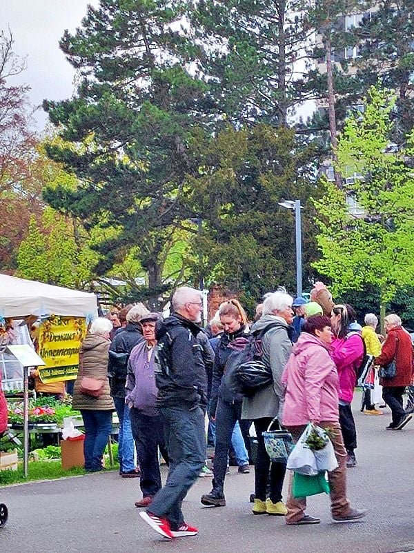 Einladung in den Stadtpark: Pflanzenmarkt am Brunnen eröffnet Gartensaison
