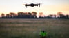 Eine Drohne mit Wärmebildkamera wird über eine Wiese im Naturpark Hoher Fläming gesteuert.