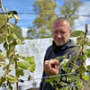 Carsten Kunth betreibt in zweiter Generation eine Obstplantage in Aspenstedt nahe Halberstadt. Er hat versucht, einen Teil seiner Himbeerpflanzen mit Vlies vor der Kälte zu schützen.