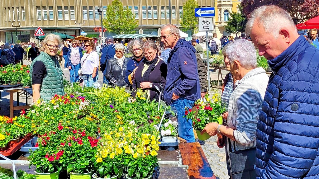 Gut ausgerüstet mit Tüten und Körben stöberten Besucher an den Verkaufsständen der Messe Garten & Ambiente in Stendal. Pflanzen für den Garten und Balkonkästen sowie auch Kräuter fanden schnell ihre Abnehmer.